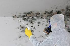 Best Commercial Mold Inspection  in Kelso, WA